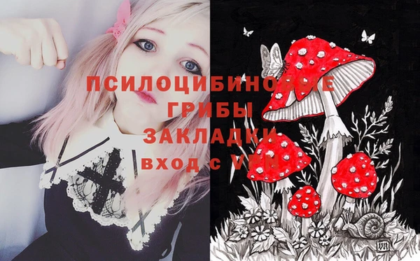 меф Алексин